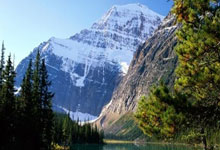 AYX-包含凯恩在日本队比赛中晋级下一阶段，出色防守引发热议！的词条